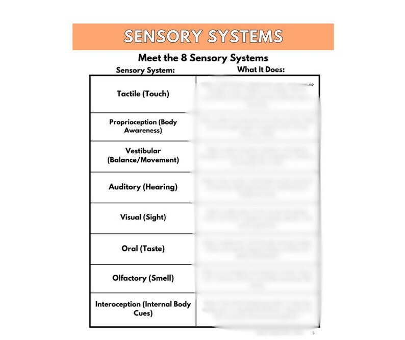 May include: A diagram titled "Sensory Systems" detailing the eight sensory systems: Tactile, Proprioception, Vestibular, Auditory, Visual, Oral, Olfactory, and Interoception. The chart is on a white background.