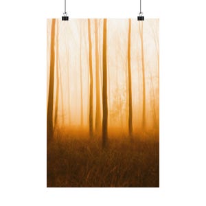 Gelassener Wald, ruhiges Wohndekor, Natur Wandkunst, Boho Raumakzent, umweltfreundliches Geschenk, Herbst Vibes, minimalistische Drucke