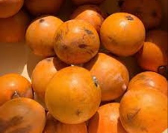 20PCS Sweet Agbalumo/ Sugar Taste Agbalumo/ Sugar Taste Agbalumo