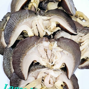 10 Big Fresh Organic Snail/ Big Size/Washed snails/Jumbo Snail/ Bush snail/ Nigeria Bush Snail/ Igbin/ Thoroughly washed.
