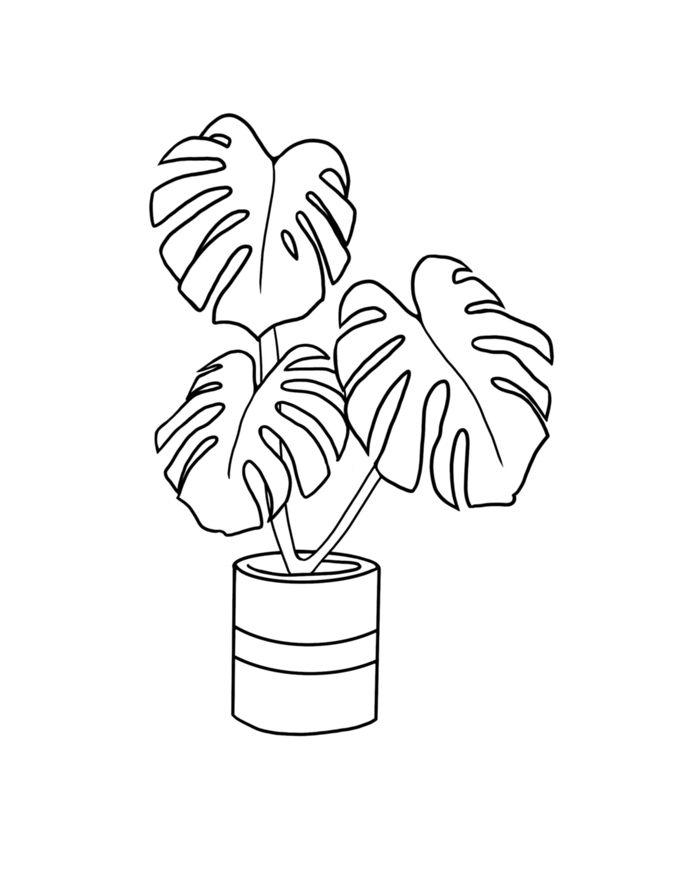 Black and White Monstera Plant Wall Art Etsy