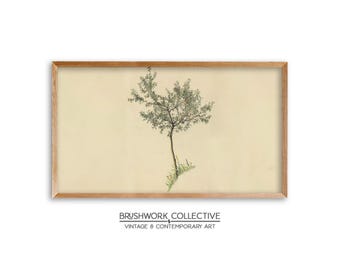 Könnte beinhalten: Eine Vintage-botanische Illustration eines Baumes mit grünen Blättern und einem hellbraunen Stamm, gerahmt in einem hellen Holzrahmen. Der Hintergrund ist hellbeige.