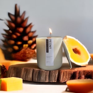 Handpoured Mangosteen Paradise Candle | Non-Toxic | Organic