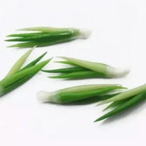 5pc Miniature Onions Sticks Lot 1;6-1;12 Scale