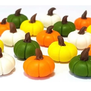 5pc Miniature Pumpkins Mixed Lot 1;6-1;12 Scale