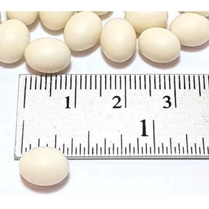 12pc Miniature Eggs White Whole Lot 1;6-1;12 Scale
