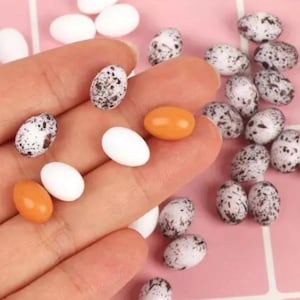 6pc Miniature Eggs Whole Mixed Lot 1;6 Scale