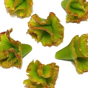 5pc Miniature Lettuce Red Leaf Open Lot 1;6-1;12 Scale