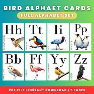Cartes alphabet oiseaux | Cartes flash aquarelle Charlotte Mason sur le thème des oiseaux Apprentissage de la nomenclature Montessori