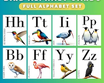 Tarjetas del alfabeto de pájaros / Tarjetas flash de acuarela Charlotte Mason con temática de pájaros Aprendizaje de nomenclatura Montessori