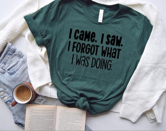 Funny Sarcastic Meme T-Shirt – I Came I Saw I Forgot