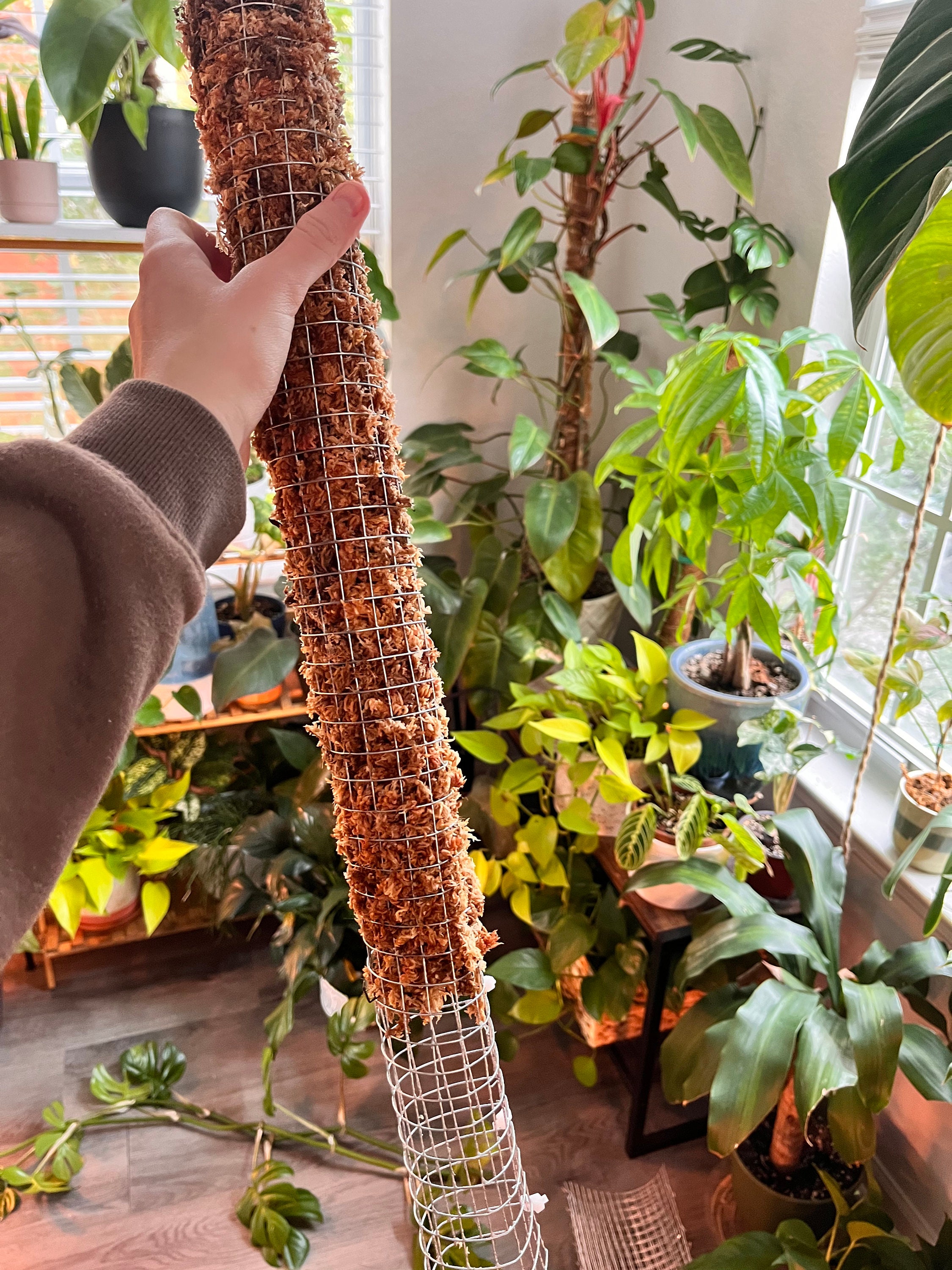 planter pots Big Cuff Planter