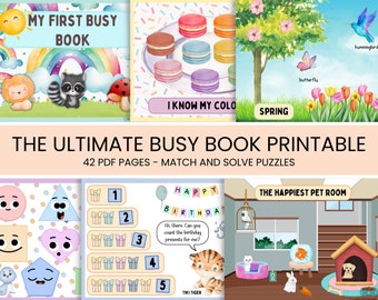 Toddler Busy Book , Toddler Learning Binder , Montessori Activities for Preschoolers , Preschool Activities  Quiet Book Preschool Curriculum