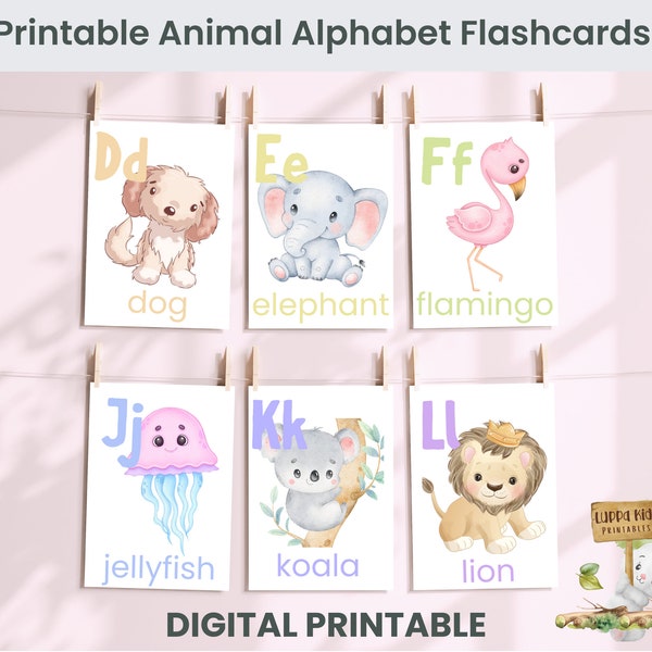 ABC Flash Cards, Educational Cards, A-Z Cards, Learn ABCs, Alphabet Flashcards, Kids Animal Alphabet, Rainbow Letters, Digital download
