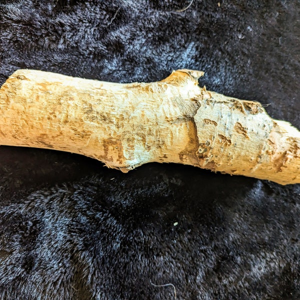 Beaver Log (Uncommon Find!)