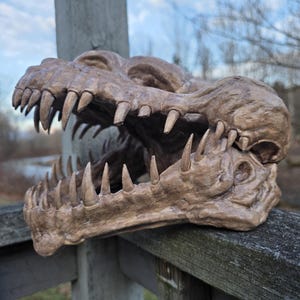May include: A detailed, open-mouthed dinosaur skull sculpture in shades of brown and tan. The skull features sharp, pointed teeth and is resting on a weathered wooden surface, with a blurred outdoor background.