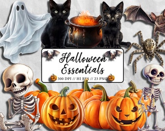 Halloween Essentials Clipart Pumpkin Spider Cat Black Halloween Clipart PNG Skeleton Decor Halloween Invitations Spooky Halloween Themed