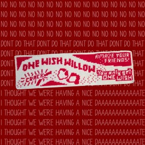 Könnte beinhalten: Ein rechteckiger weiß-roter Häkelteppich mit dem Text ONE WISH WILLOW, AMAZE YOUR FRIENDS und You only get ONE WISH sowie einer Grafik eines zerbrochenen Objekts. Das Stück liegt vor einem roten Hintergrund mit sich wiederholendem Text.
