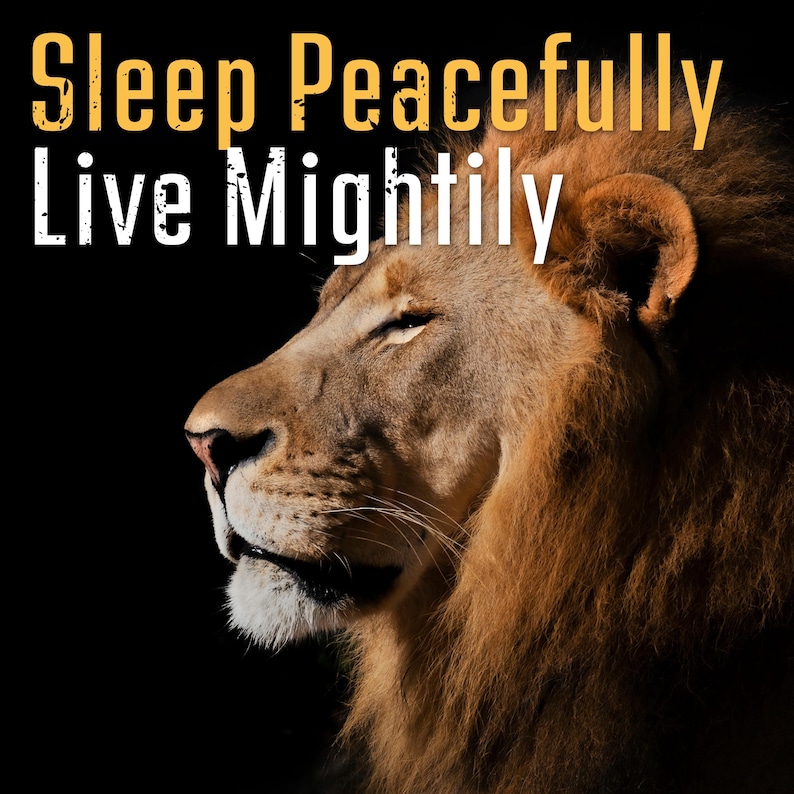 May include: A lion's head in profile against a black backdrop. The lion has a brown mane and fur, with the text "Sleep Peacefully Live Mightily" in yellow and white.