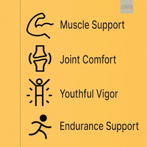 以下が含まれることがあります： 黄色い背景に「Muscle Support」、「Joint Comfort」、「Youthful Vigor」、「Endurance Support」の文字が縦に並んだ画像。各フレーズには、対応する黒い線画アイコンが付いています。「Junkless Nutrition」のブランド名が右上隅にあります。