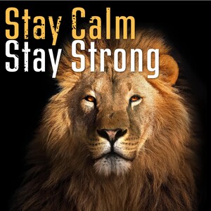 May include: A close-up image of a lion's face with a dark background. The lion has a brown mane and orange eyes. The text "Stay Calm Stay Strong" is written in yellow and white above the lion's face.