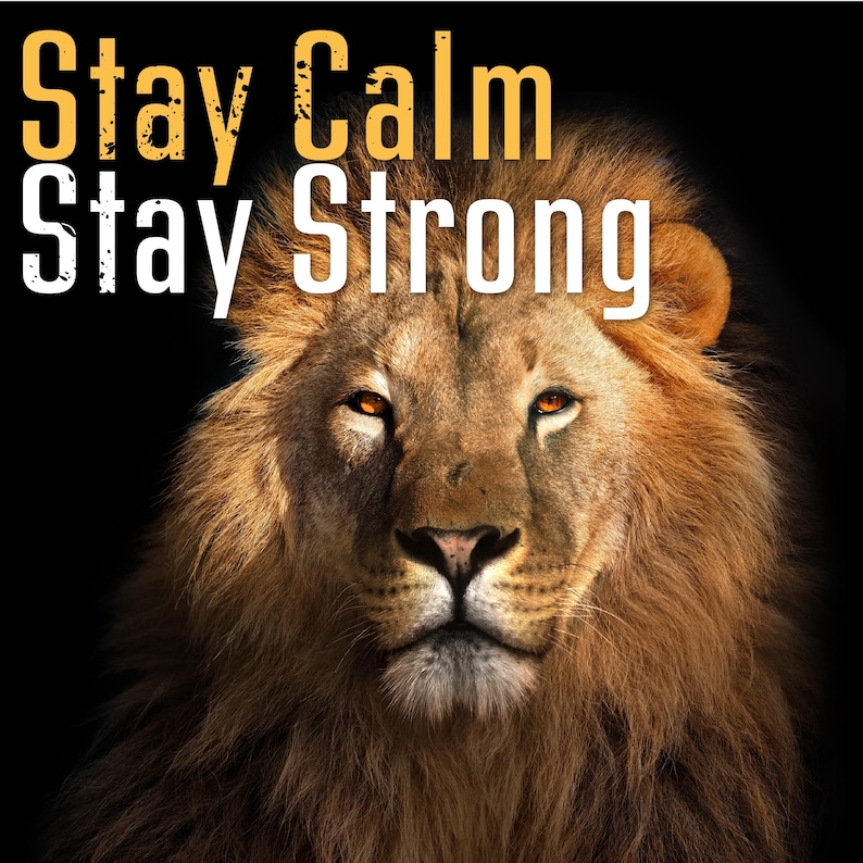 May include: A close-up image of a lion's face with a dark background. The lion has a brown mane and orange eyes. The text "Stay Calm Stay Strong" is written in yellow and white above the lion's face.