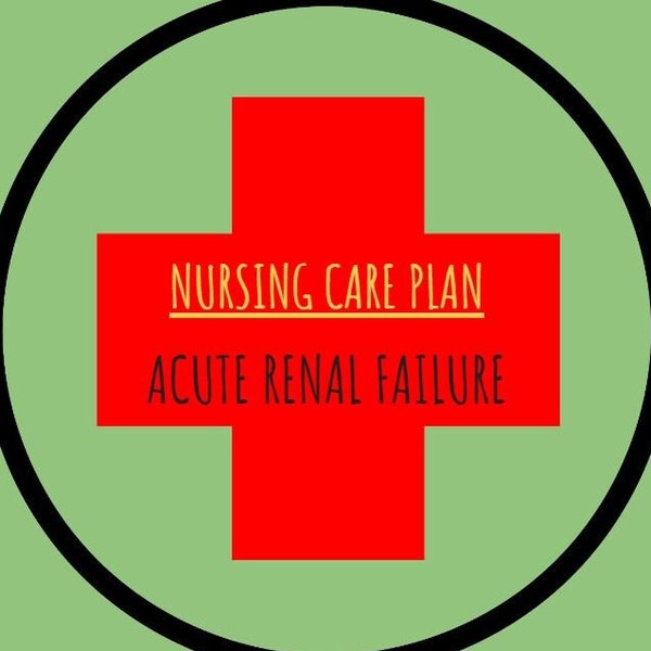 Insuffisance rénale | Plan de soins infirmiers | Comprend les diagnostics NANDA et leur justification