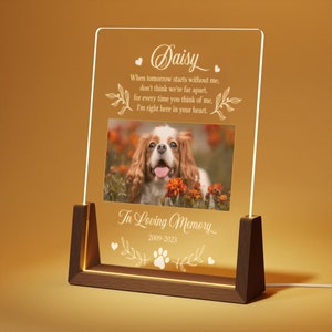 May include: A clear acrylic memorial plaque with a photo of a dog, the name "Daisy" and the text "When tomorrow starts without me, don't think we're far apart, for every time you think of me, I'm right here in your heart."  The plaque also includes the text "In Loving Memory" and the dates "2009-2023".