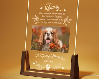 Custom Pet Plaque with Photo, Dog Memorial Gift, Pet Loss Sympathy Keepsake, In Loving Memory Plaque, Cat Bereavement Night Light