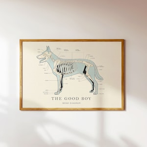 Póster de diagrama de hueso de perro vintage, póster de diagrama de hueso, póster de esqueleto, diagrama de esqueleto animal, dibujo esquelético, diagrama vintage, dibujo retro