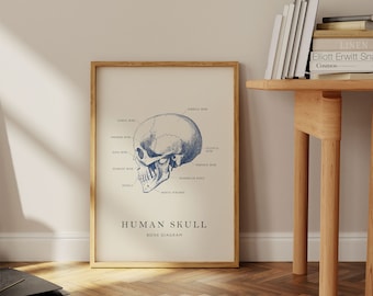 Vintage Human Skull Diagram Poster: Retro Skeletal Art (Digital Download)