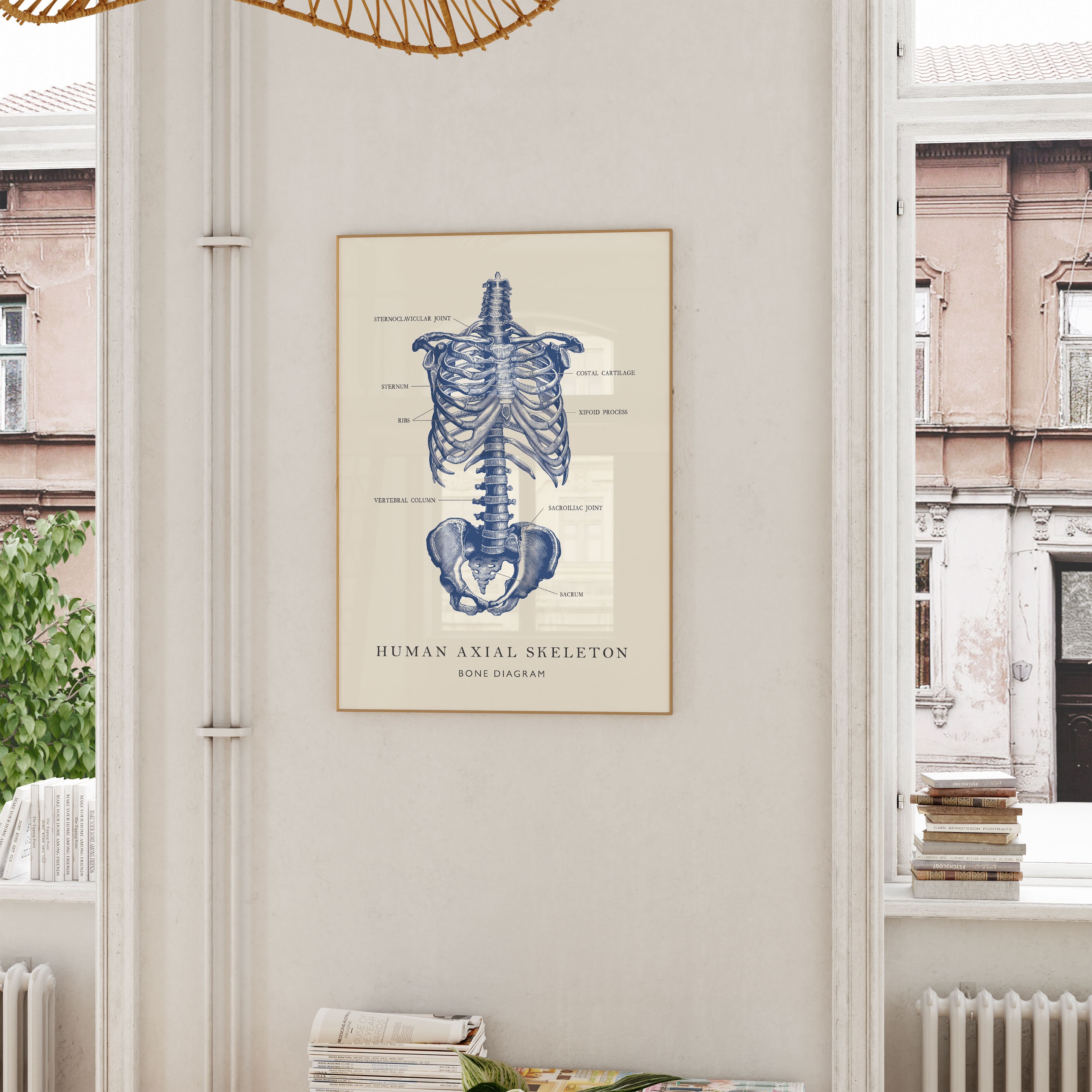 Vintage Human Skeleton Diagram Poster Wall Art Axial Skeleton Drawing ...