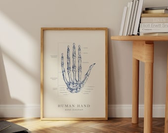 Vintage Menschliche Hand Knochen Diagramm Retro Skelett Diagramm Wand Kunst Skelett Kunst Poster Zeichnung Skelett Zeichnung