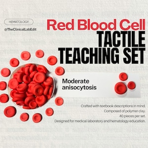 Red Blood Cell Teaching Set | Anisocytosis | Polymer Clay RBC Models for Clinical Laboratory Students & Educators