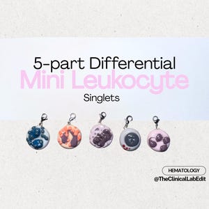 Puede incluir: Cinco colgantes de leucocitos en miniatura con cierres plateados. Cada colgante tiene un diseño y color únicos, incluyendo azul, naranja, morado, gris y rosa. El texto "5-part Differential Mini Leukocyte Singlets" está arriba.