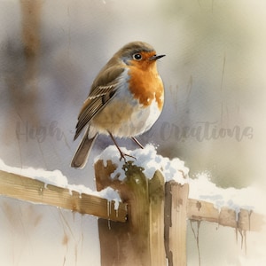 Robins in Winter Clipart - 12 High-Quality JPGs | Digital Print | Wall Art | Paper Craft | Commercial Use | Bird Clip Art | Instant Download