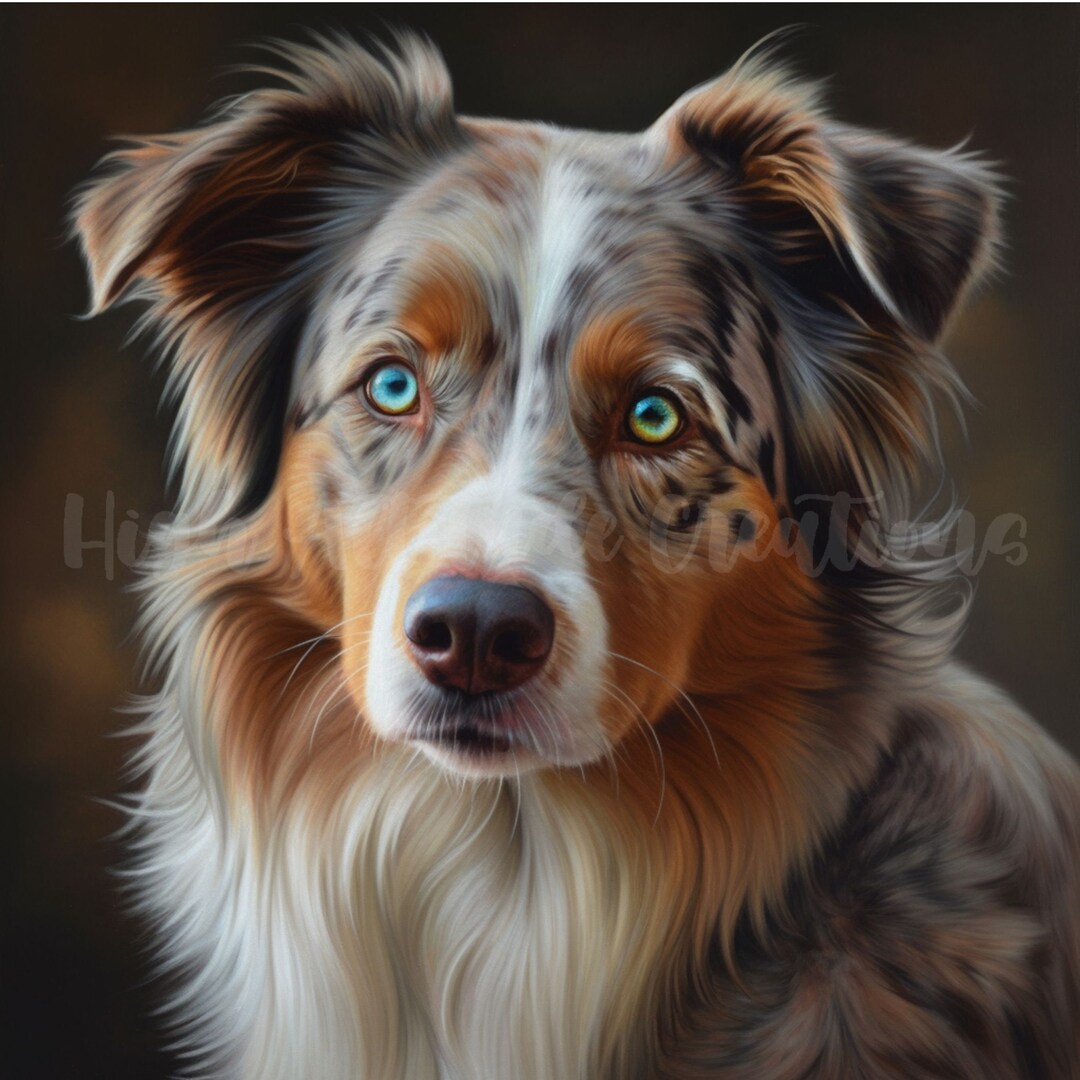 Australian Shepherd Clipart - 12 High-quality Jpgs | Digital Print | Wall Art | Paper Craft ...