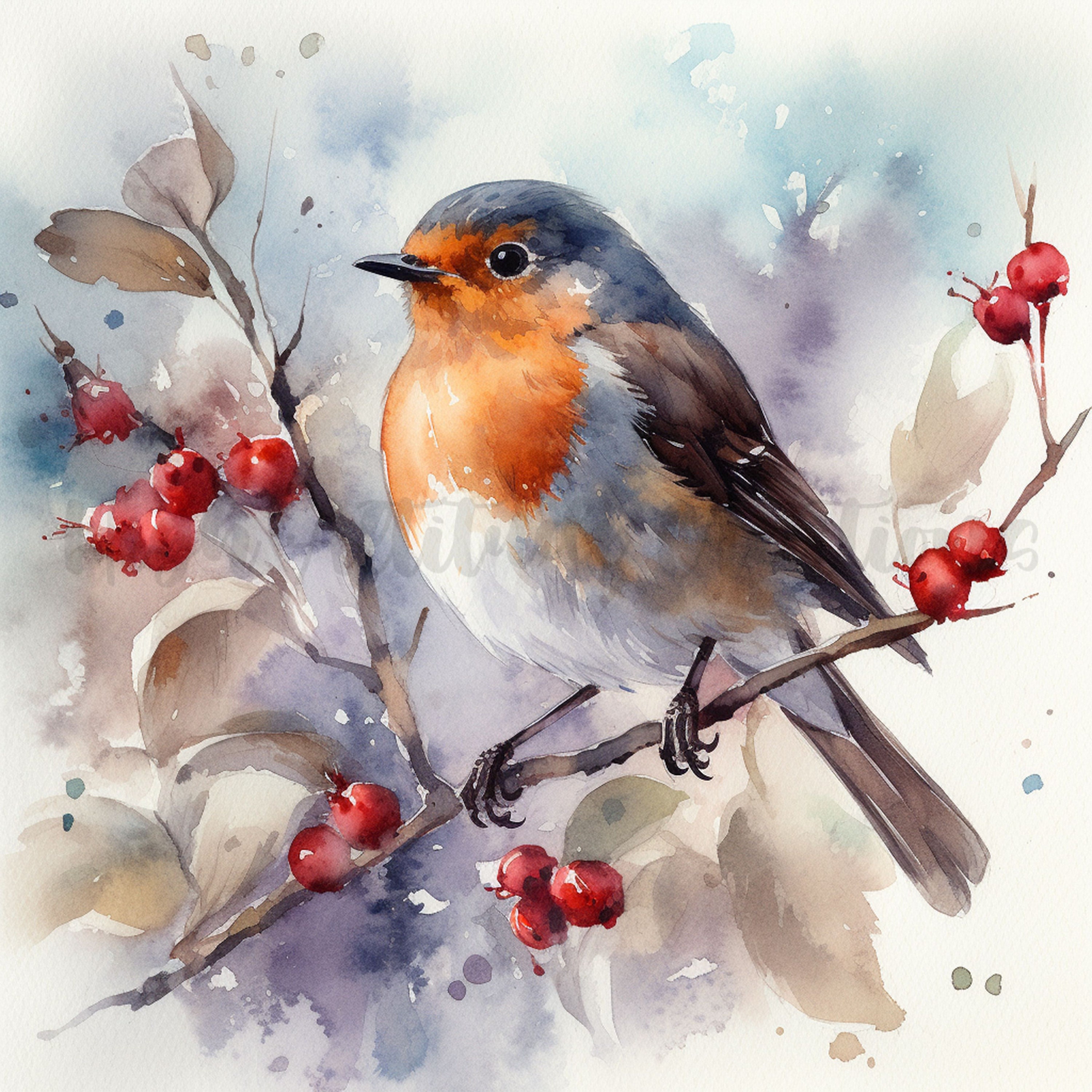 Winter Robin Watercolor Clipart: 12 JPG Bird Art Prints (digital ...