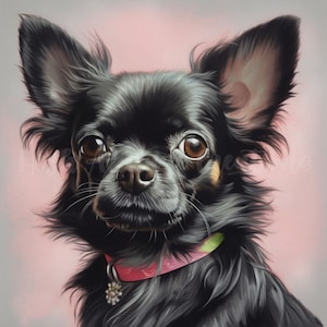 Long Hair Chihuahua Clipart - 12 High-Quality JPGs | Digital Print | Wall Art | Paper Craft | Commercial Use | Clip Art | Instant Download