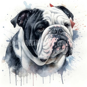 English Bulldog Clipart - 10 High-Quality JPGs | Digital Print | Wall Art | Paper Craft | Commercial Use | Clip Art | Digital Download