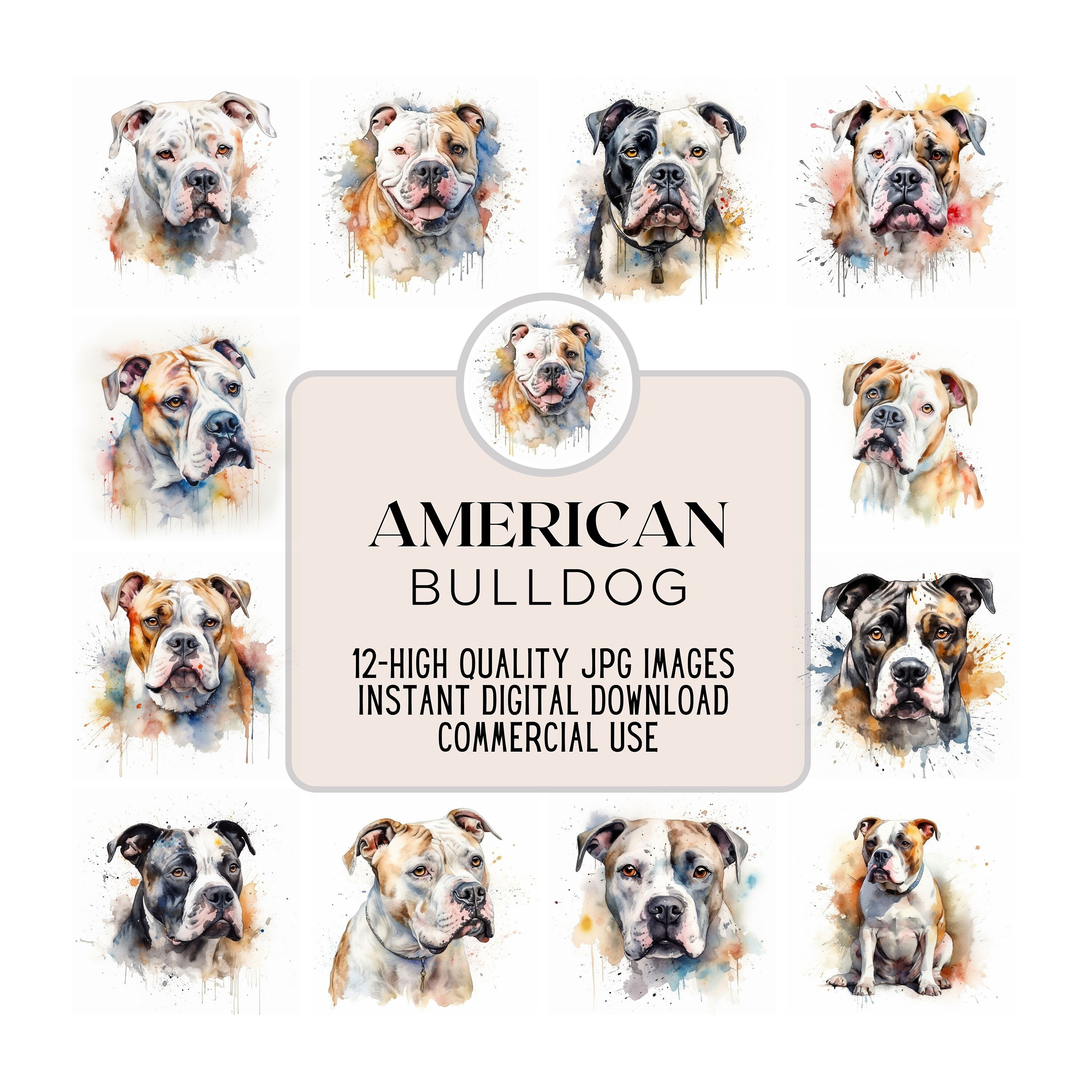 Bulldog Mix American Bulldog 101 Watercolor French Bulldog Pet