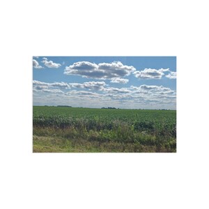 Nature Photography Postcards | Illinois Farmland Rural Life Cornfield Blue Sky Fine Art Landscape Giclée Print