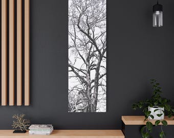 Schwarzweißer Baum Druck: Hohe Majestätische Natur Kunst, Arbeitszimmer Büro Deko