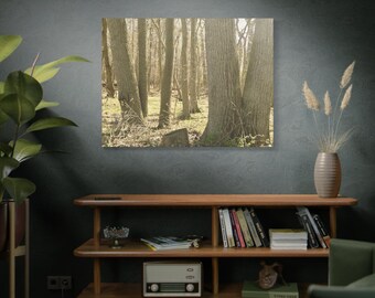 Forest Canvas Print: Nature Photography Wall Art, Tree Bark & Grasses