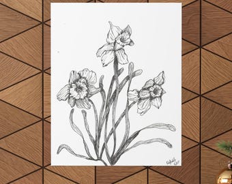 May include: A black and white line drawing of three daffodils with stems and leaves. The drawing is on a white background.