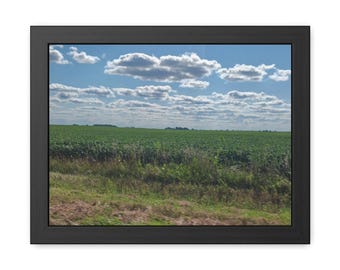 Illinois Farmland Vintage Poster: Ernte Landschaft Fotografie