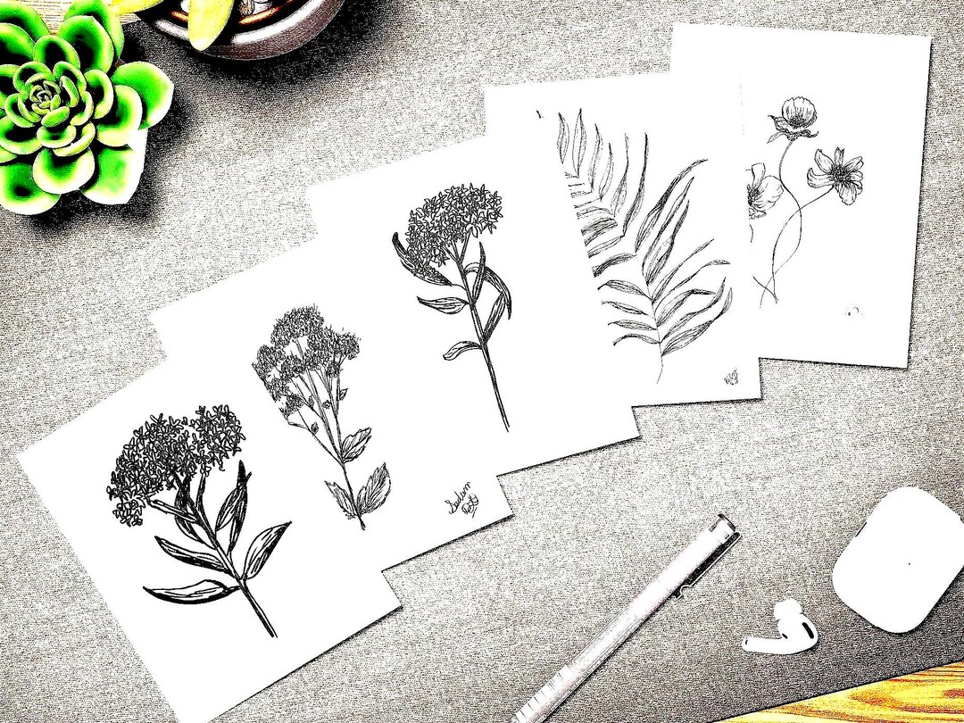 Botanical Note Cards: Minimalist Floral Line Drawings, Plant Art ...