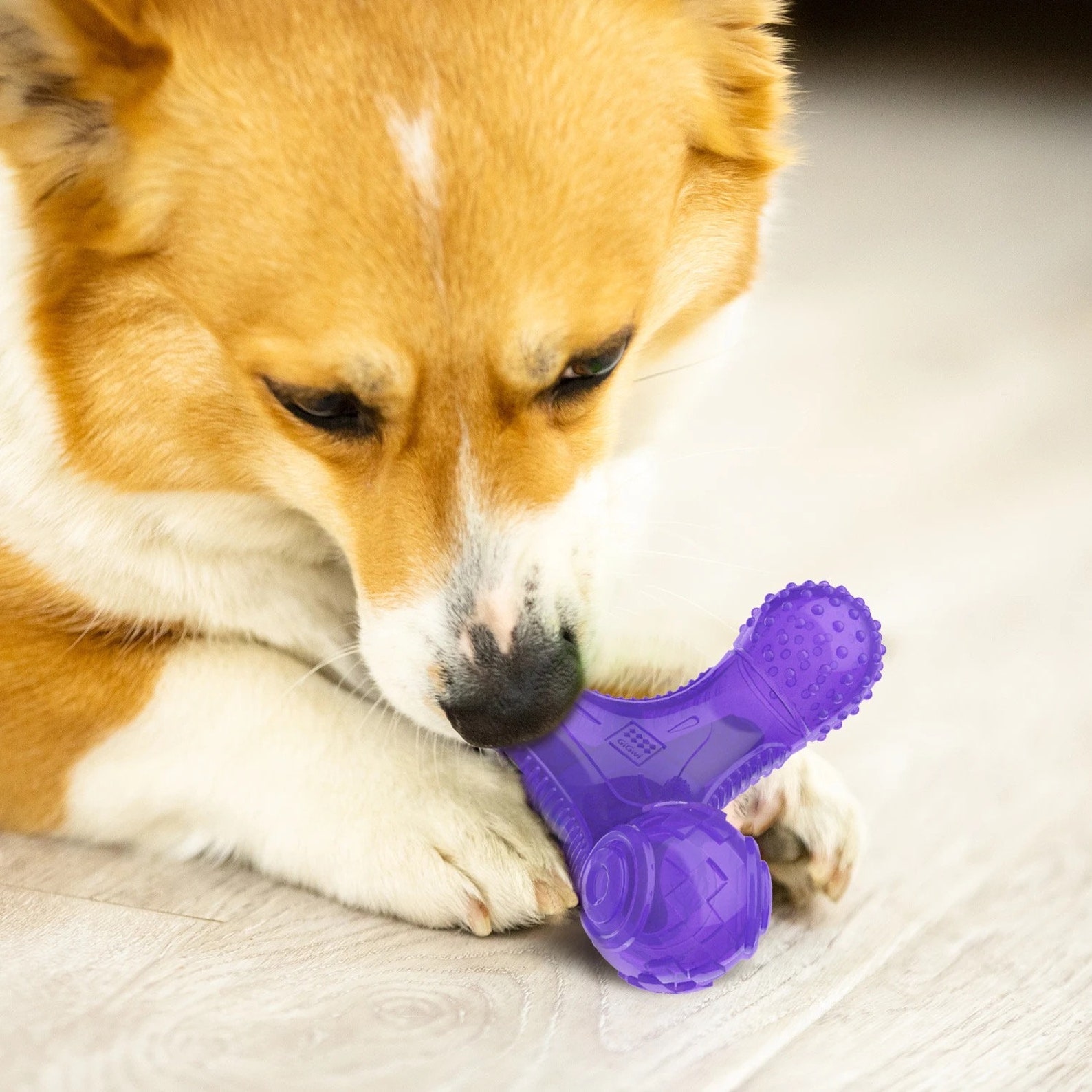 Interactive Dog Toys, TPR thermoplastic Rubber Dog Toys, Squeaky Dog