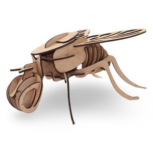 Fly Insect Wooden Puzzle Kit - 31 Pcs Laser Cut 3D Model - DIY Bug Craft for Kids, STEM Activities & Nature Lovers