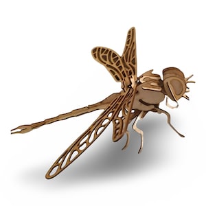 Dragonfly Wooden Puzzle Kit - 28 Pcs 3D Laser Cut Insect Model - DIY Nature Craft for Kids, STEM Learning & Bug Collectors
